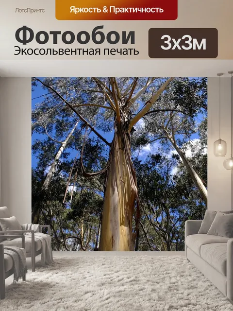 Фотообои Дерево