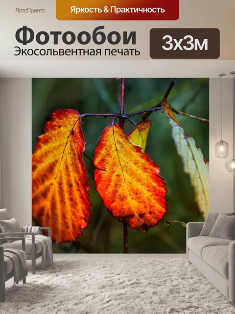 Фотообои Листья осенние листья