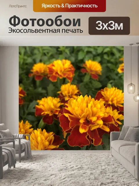 Фотообои Цветы