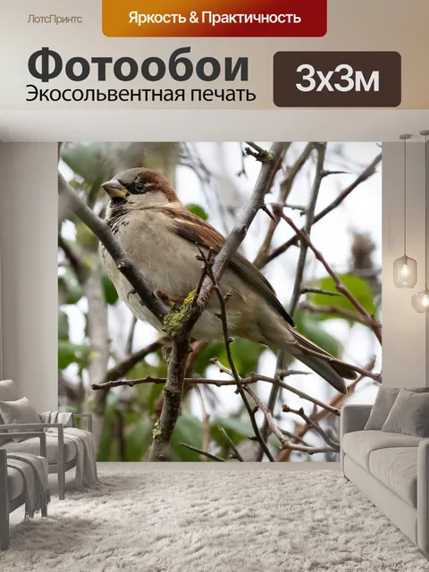 Фотообои Воробей