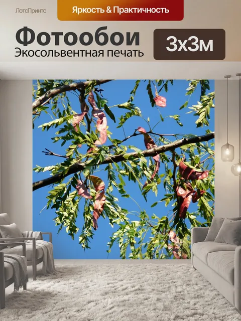 Фотообои Американские гледичи