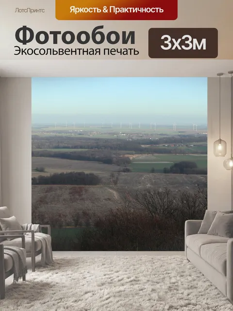 Фотообои Вид