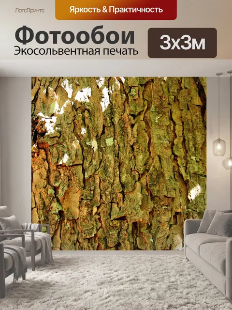 Фотообои Дерево Кора фон