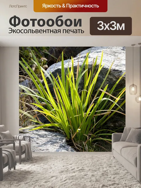 Фотообои Природа