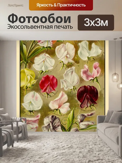 Фотообои Каталог семян Винтажная печать