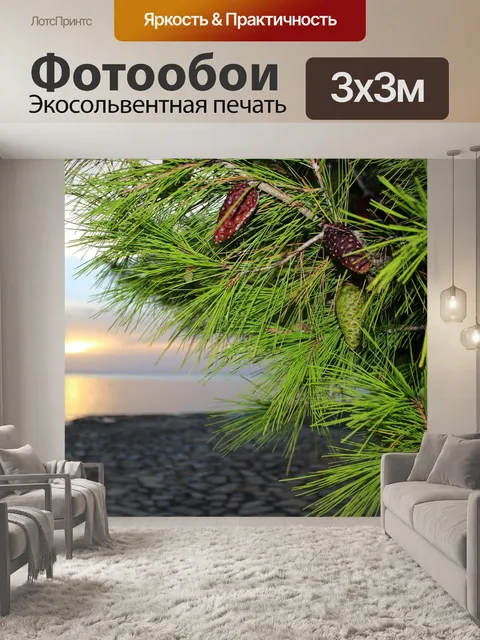 Фотообои Сосна