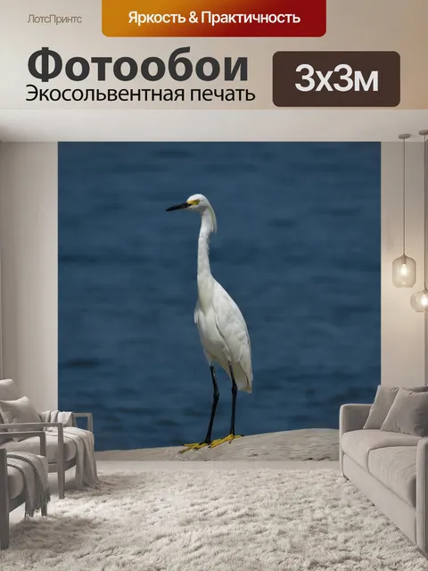 Фотообои Малая белая цапля