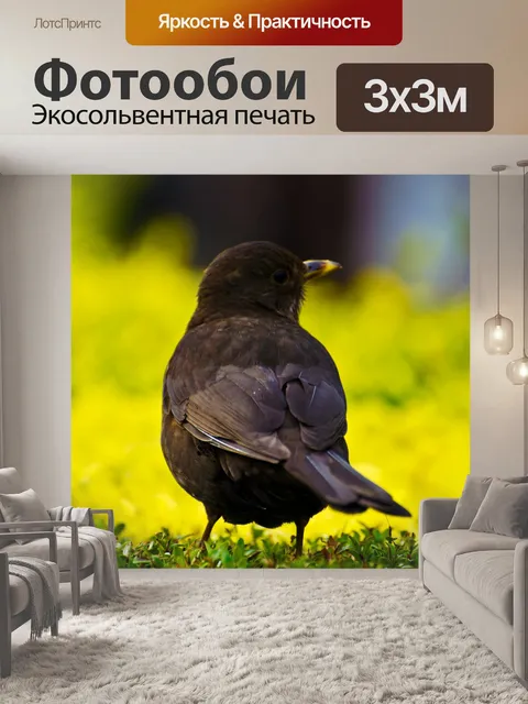 Фотообои Птица
