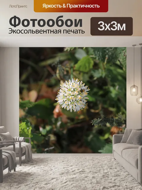 Фотообои Цветок