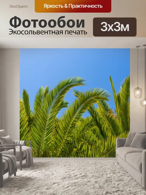 Фотообои Пальмовых листьев деревьев
