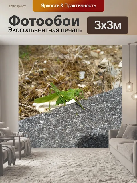 Фотообои Сад