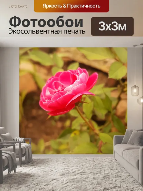 Фотообои Роза