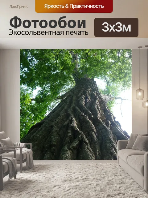Фотообои В безвыходном положении