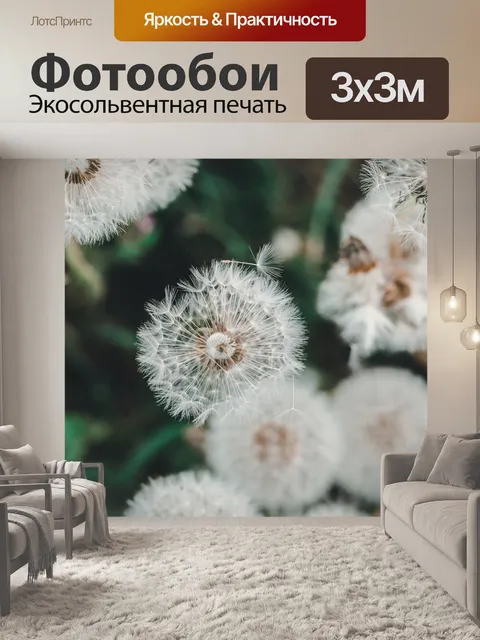 Фотообои Одуванчик