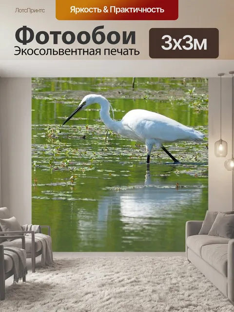 Фотообои Природа