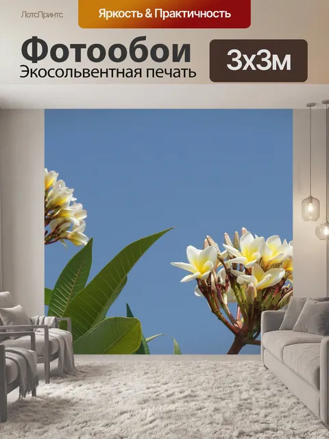 Фотообои Цветы франжипани