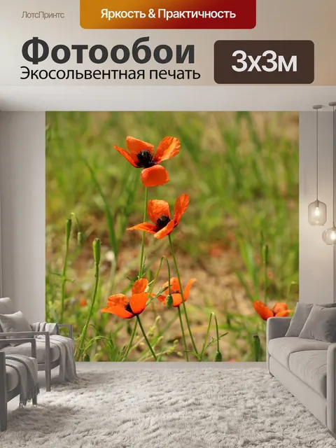 Фотообои Маки
