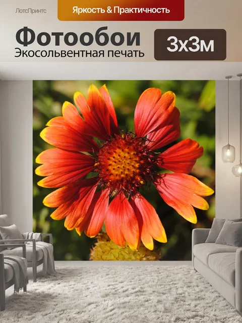 Фотообои Цветок в саду