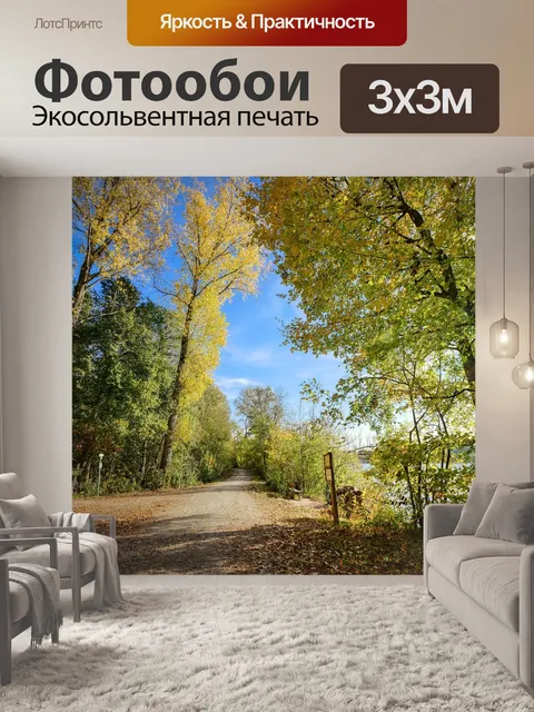 Фотообои Лес
