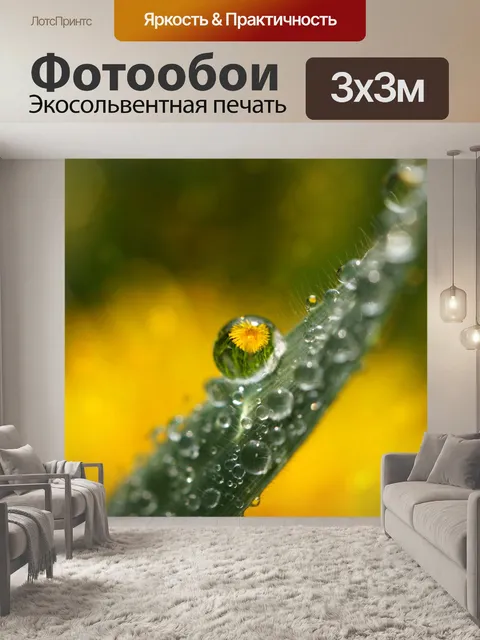 Фотообои Зеркальное отражение одуванчика