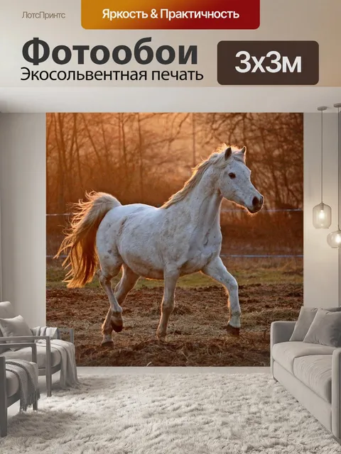 Фотообои Лошадь