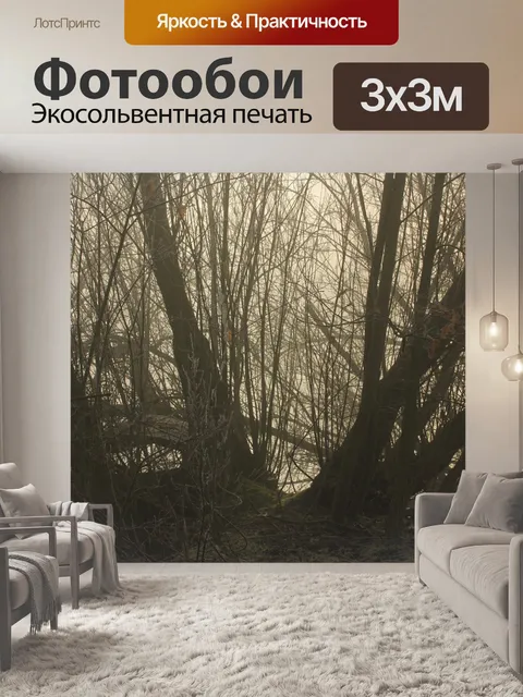 Фотообои Туман