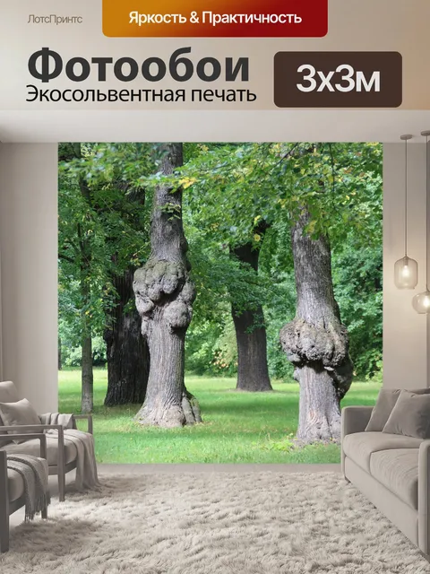 Фотообои Дрезден