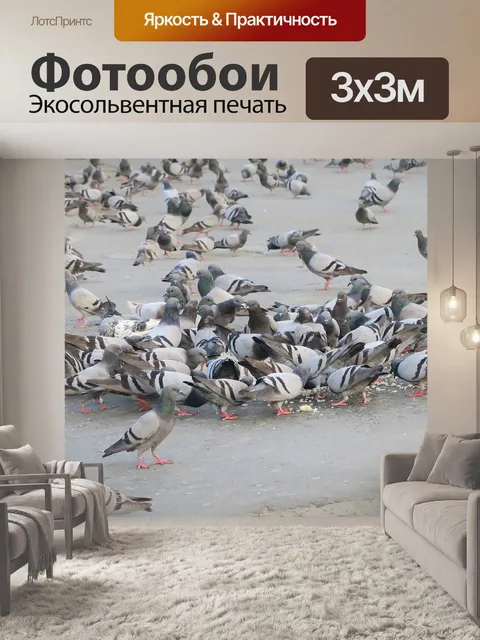 Фотообои Птицы