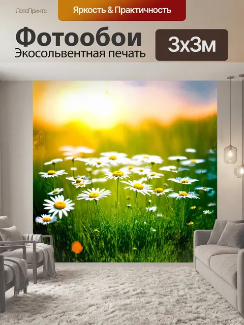 Фотообои ромашки, яркие и нарядные, растущие на лугу, окружены зелеными травами и разнообразными полевыми цветами