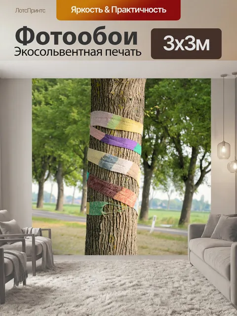 Фотообои Одетый деревья