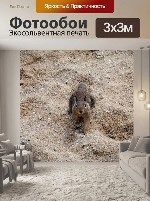 Фотообои Любопытный Белка
