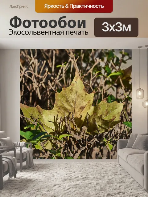 Фотообои Дерево