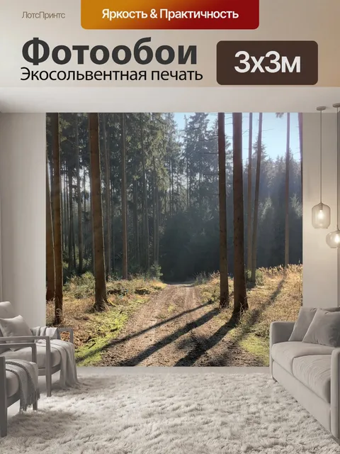 Фотообои Лес