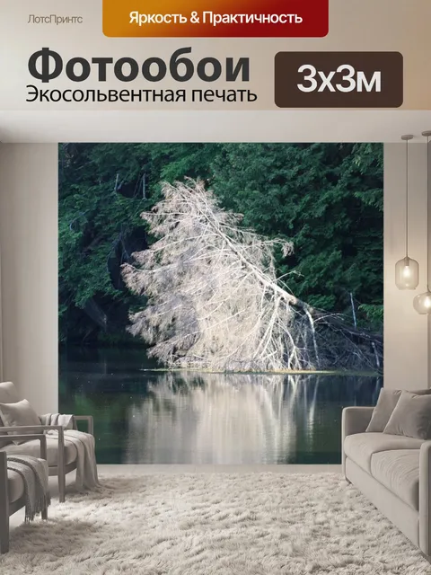 Фотообои Открытый