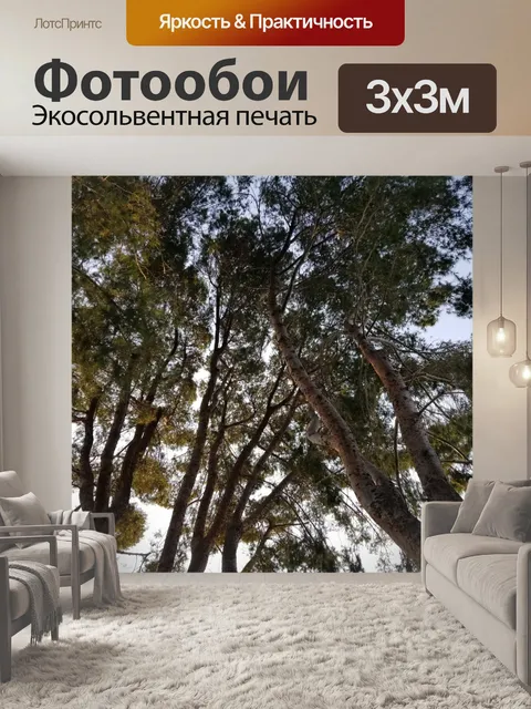 Фотообои История деревьев