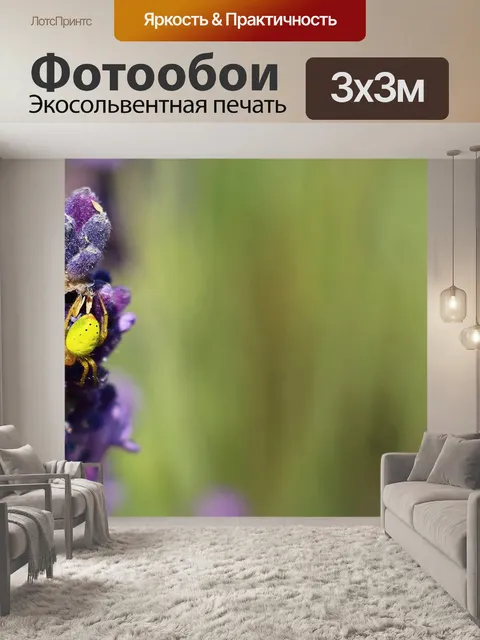 Фотообои Лаванда