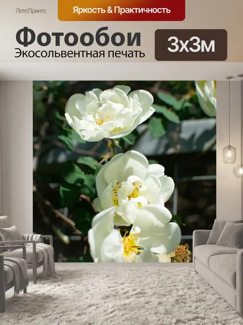 Фотообои Цветы