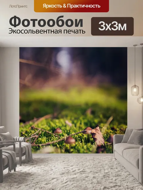 Фотообои Лес