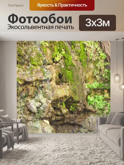 Фотообои Крупный план скалы с растениями