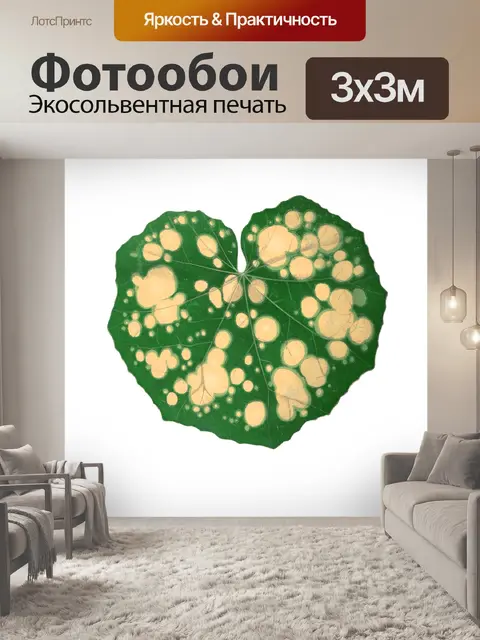 Фотообои Листья листва Винтаж клипарт