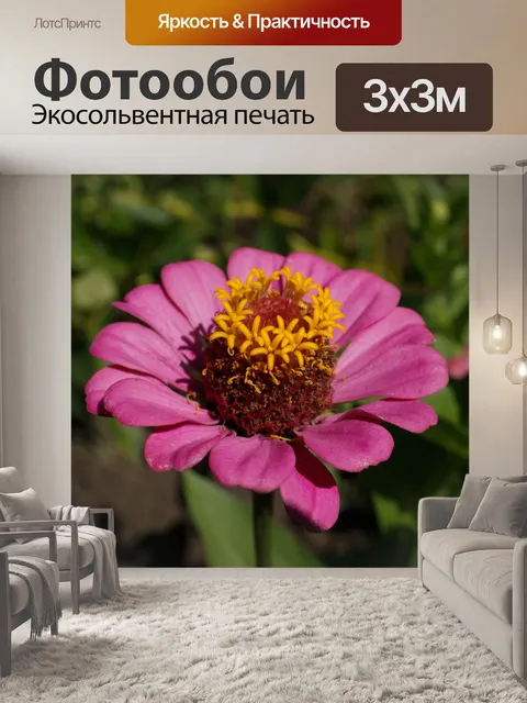 Фотообои Цветы