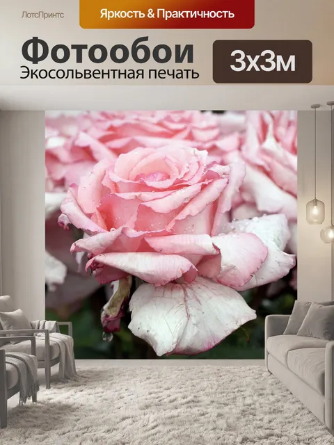 Фотообои Розы