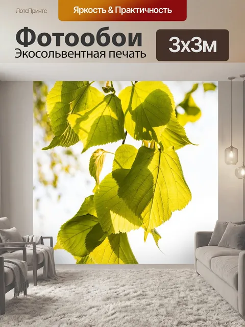 Фотообои Листья