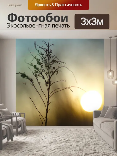 Фотообои Закат