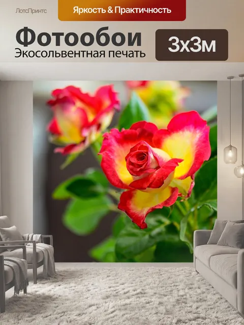 Фотообои Розы