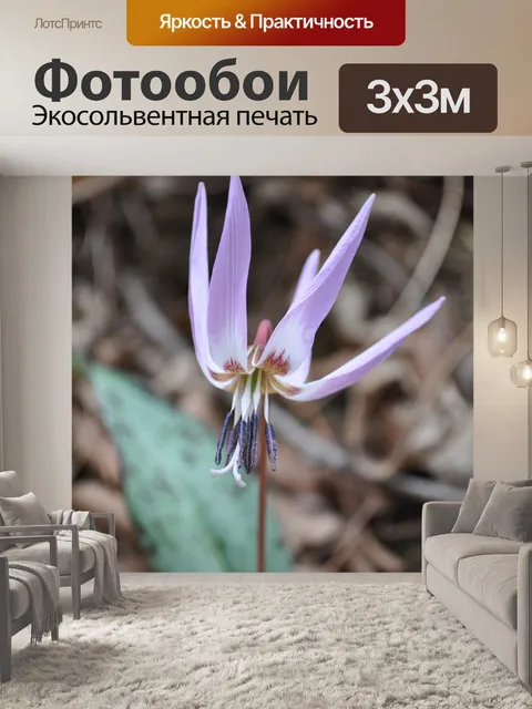 Фотообои Цветы