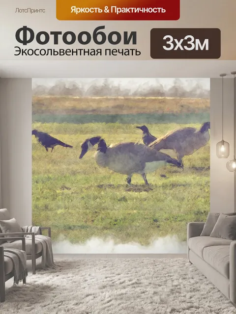 Фотообои Гуси и вороны