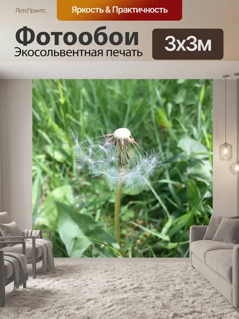 Фотообои Одуванчики