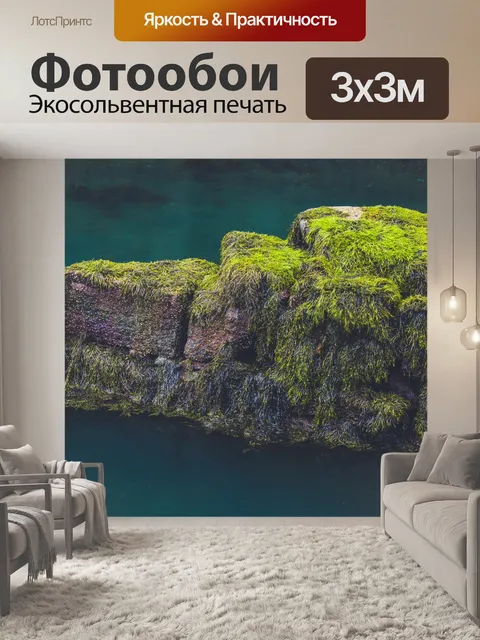 Фотообои покрытые водорослями скалы