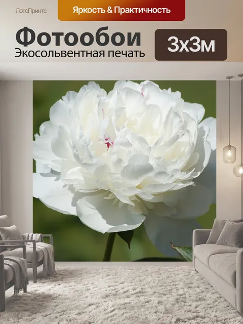 Фотообои Цветы
